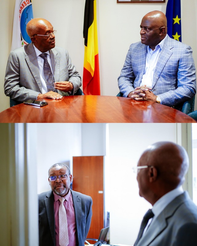 Médiateur de la République du Gabon